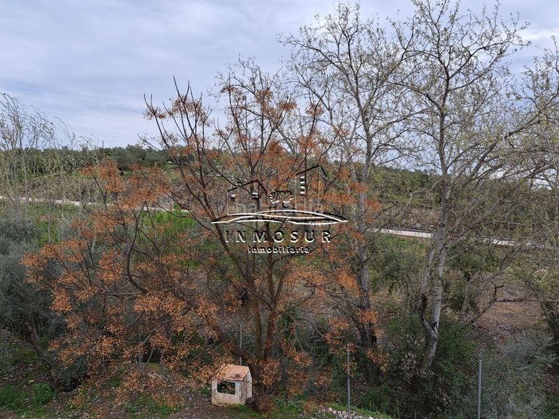 Foto 7e68ad11-c431-4e26-8e55-ddf31fa08618. Casa a El Valle Lucena