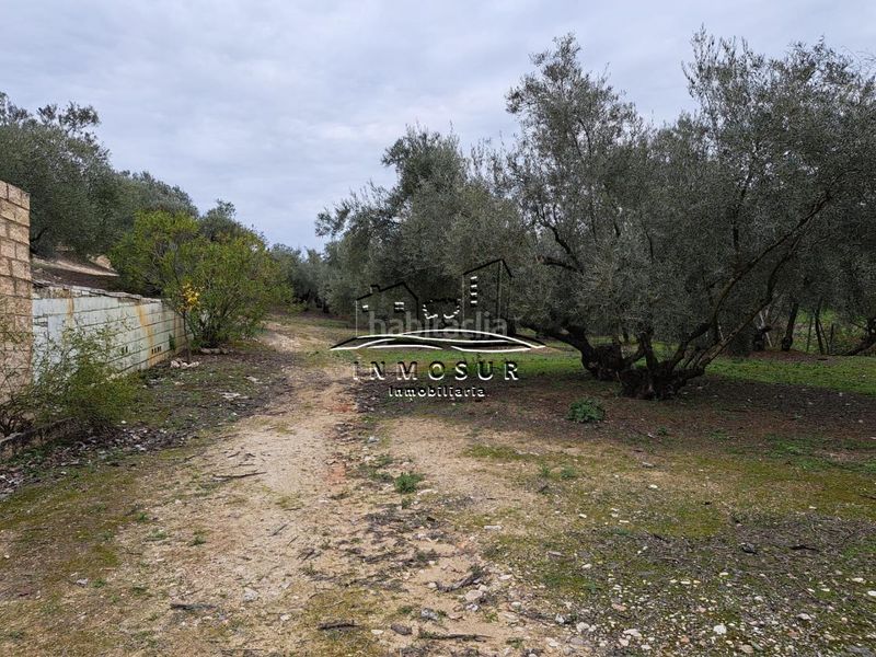 Foto 9b42b0e6-5e9f-4fae-845e-d836f590f86c. Casa a El Valle Lucena