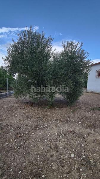 Foto 4f40fc0c-db05-44a7-8987-907762656a8b. Casa amb piscina a Poleares Lucena