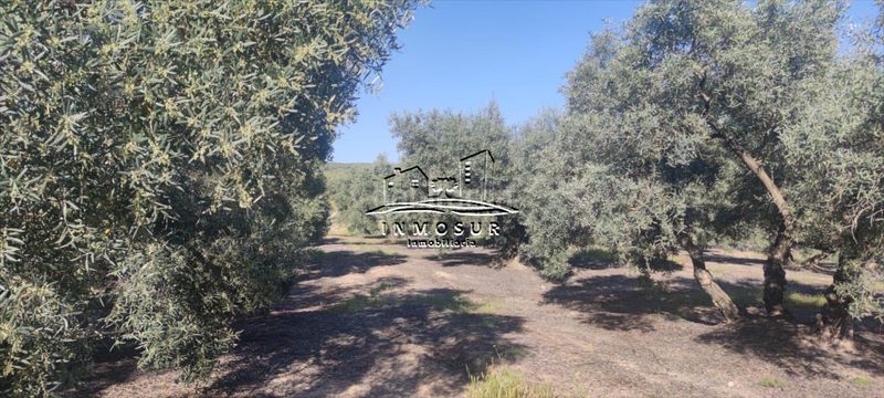 Foto fa8866ca-4b8a-4f08-a10c-5cdc50a7f92e. Finca rústica a San Francisco Lucena
