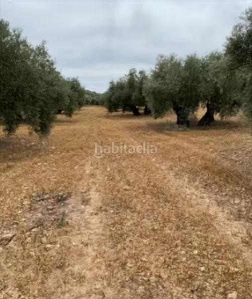 Foto 0f43e248-7b7a-4140-a408-ba71c33dc8b9. Finca rústica a Jauja Lucena