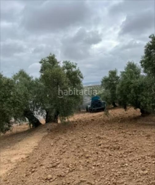 Foto 52b07662-9bb8-4248-b735-717f6b9f3370. Finca rústica a Jauja Lucena