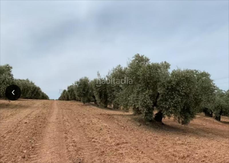 Foto b6a4de00-5f08-4edf-b18e-0a31a5699355. Finca rústica a Jauja Lucena
