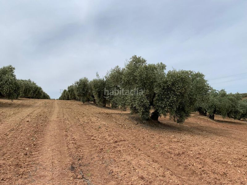 Foto 43b579b5-130e-458c-a2fb-7c21d07880ae. Finca rústica a Jauja Lucena