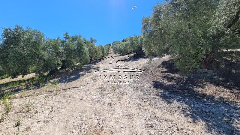 Foto 814578b9-2e68-42ed-b328-078223cedf52. Finca rústica a San Francisco Lucena