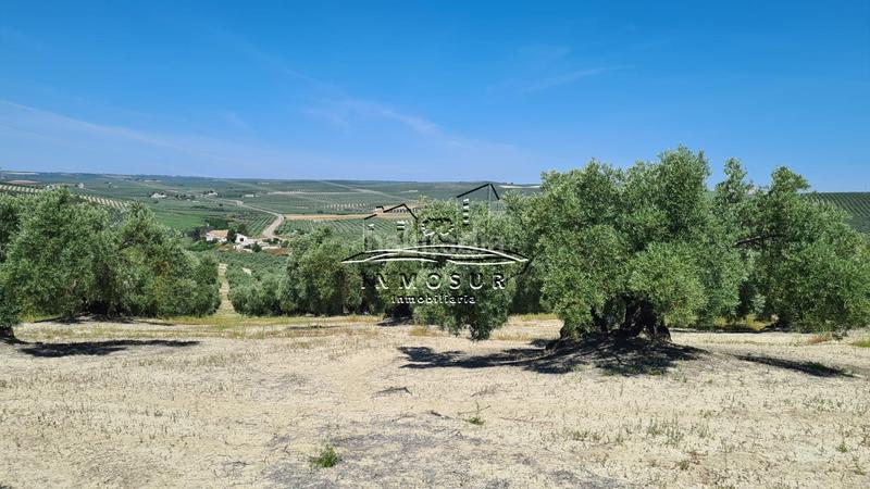 Foto 9cc7cb97-e832-43cb-b778-a8262e3f188d. Finca rústica a San Francisco Lucena