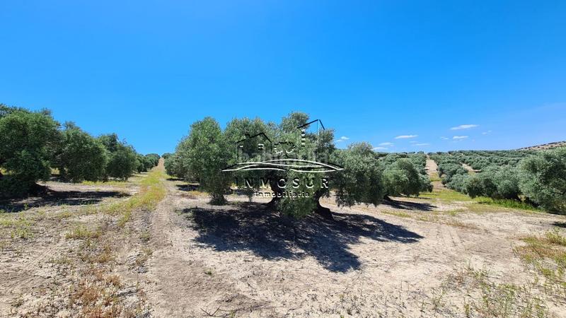 Foto e35bdc4b-f168-4d8e-bf05-0567b201b1a5. Finca rústica a San Francisco Lucena