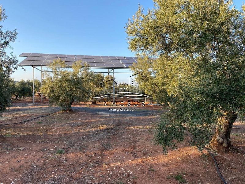 Foto 08396bbf-c56b-4d02-85ab-7fee9011a723. Finca rústica a Vilches