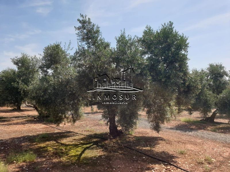 Foto 3f678c74-825b-4750-9991-00d776008c8d. Finca rústica a Vilches