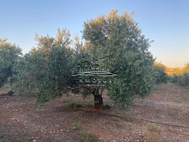 Foto 5439d762-e07d-4033-a2f6-1533c1fb22d7. Finca rústica a Vilches