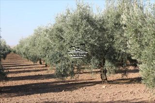 Finca rústica a Navas del Selpillar