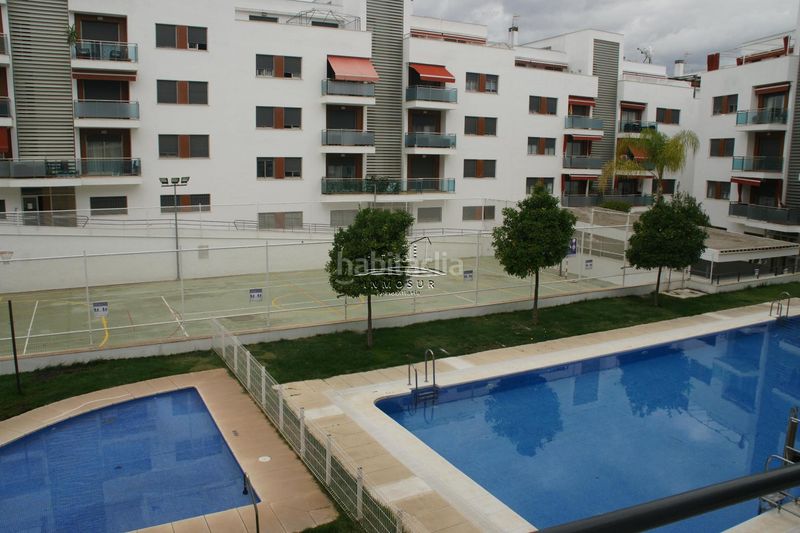 Foto 5a63b5a9-8861-4c82-80e8-69aba3a44776. Pis a San Francisco Lucena