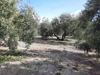 Landgut in Poleares