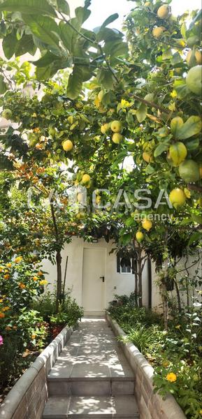 Foto 0ec4e5fb-920d-4232-9ced-0501a2159508. House with heating in La Salut Badalona