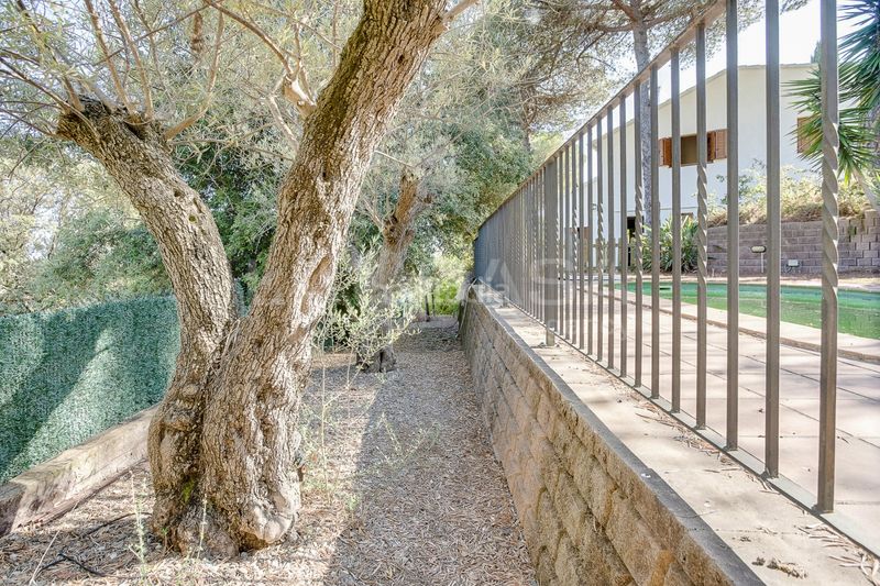 Foto f620aa0b-5ce6-4f0d-a5ff-e12a76326849. Xalet amb calefacció aparcament piscina a Cabrils