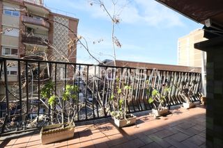 Flat  Avinguda dels quinze