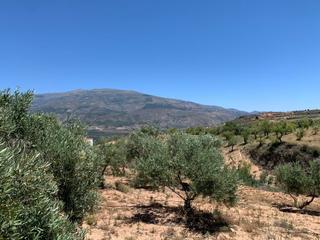 Masia a Valle (El). Magnifica finca restábal