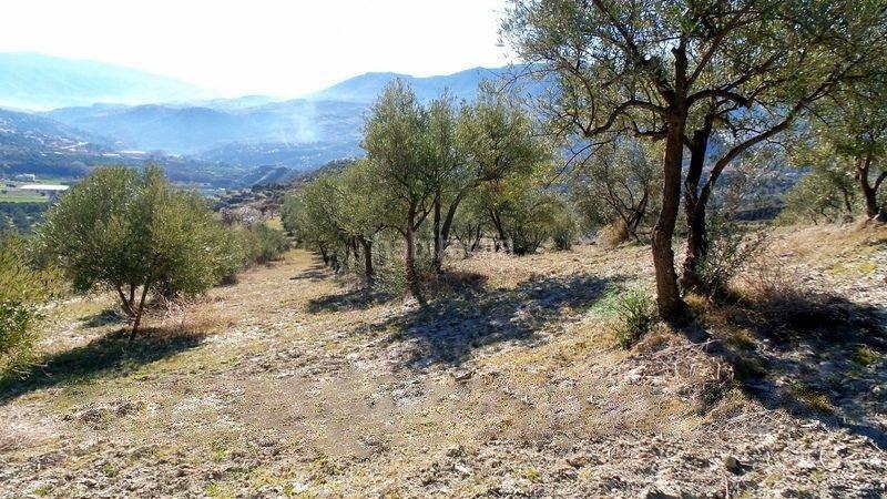 Foto 311b3893-433d-4876-af98-48610cb927ef. Finca rústica a Valle (El)