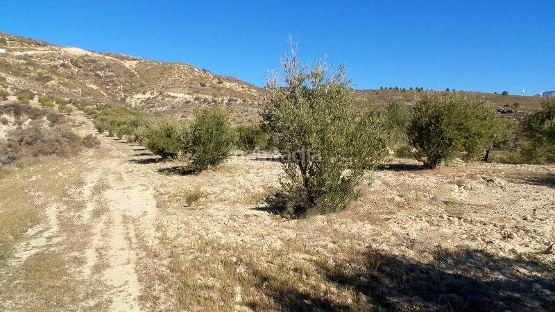 Foto 50b20cf5-cf10-4859-8307-90b507523cd2. Finca rústica a Valle (El)
