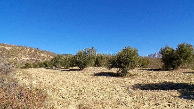 Foto 85a73cde-6278-48da-b5f0-1f443bfcaed6. Finca rústica a Valle (El)