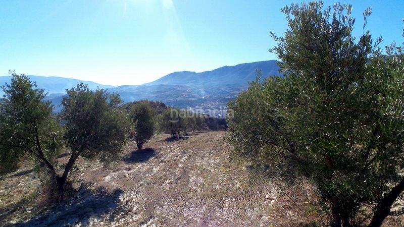 Foto f82c1115-b619-4c91-be48-06125ce71e51. Finca rústica a Valle (El)