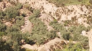 Masia a Valle (El). Finca rustica en el valle de lecrín