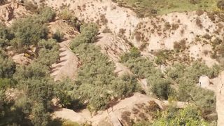 Masia  Valle de lecrin. Finca rustica en el valle de lecr�n