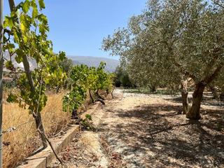 Masia a Villamena. Finca de recreo en cozvijar