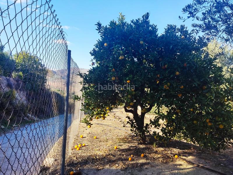 Foto 0a61d86b-e38e-46d7-836f-a1aabe928b85. Landgut in Valle (El)