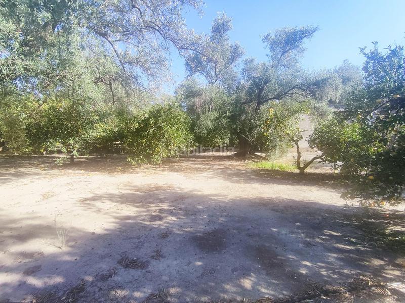 Foto aa20a2ba-0559-49e5-af9f-d39f13b953ca. Landgut in Valle (El)