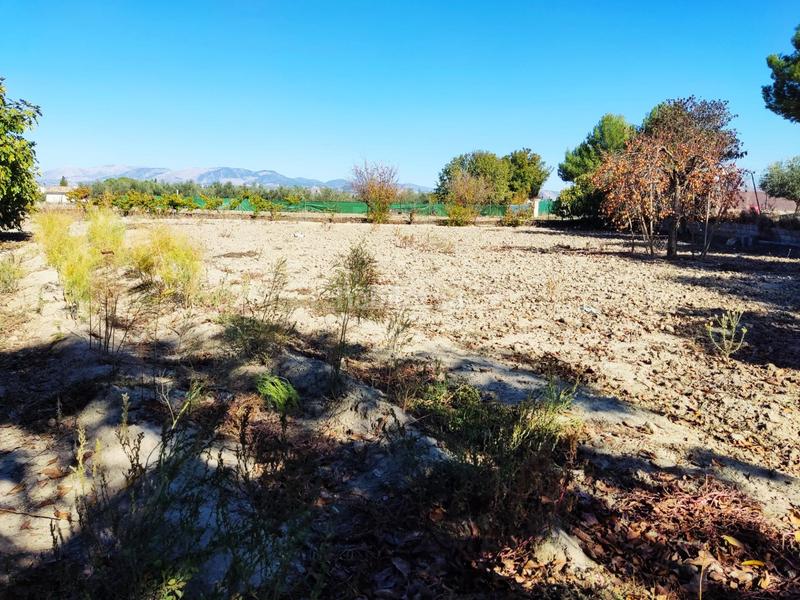 Foto 6a2f4f26-8a72-4b8e-af1b-6880201565bc. Fondo rustico in Residencial Triana - Barrio Alto Gabias (Las)