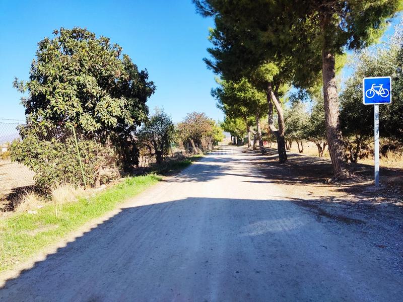 Foto bf213349-b303-463c-8e4e-05bac11ba09f. Fondo rustico in Residencial Triana - Barrio Alto Gabias (Las)