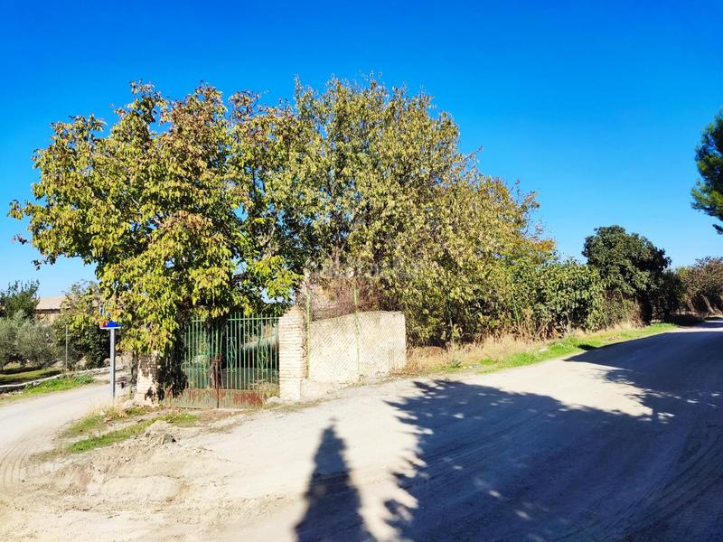 Foto d564d36c-05c5-4d1b-afb4-feabd1515505. Fondo rustico in Residencial Triana - Barrio Alto Gabias (Las)