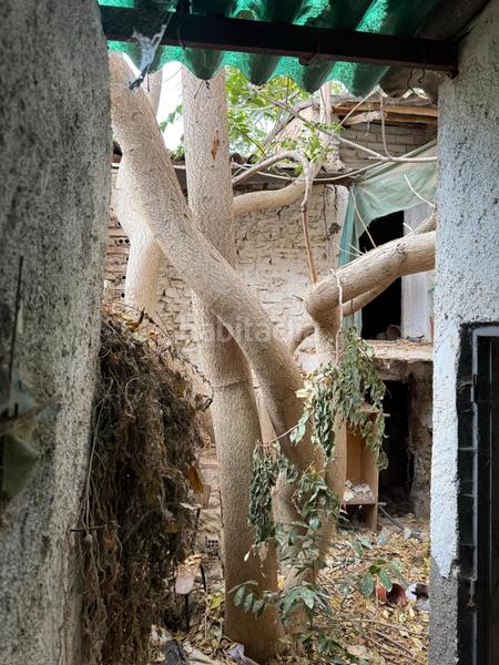 Foto ae334175-3afb-4950-a723-a133f970a99d. Casa a Las Flores - Huerta Gabias (Las)