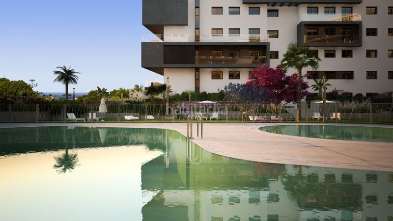 Foto 1751f815-342e-40f7-bbf6-d49b8ab85590. Àtic amb aparcament piscina a Campoamor Orihuela