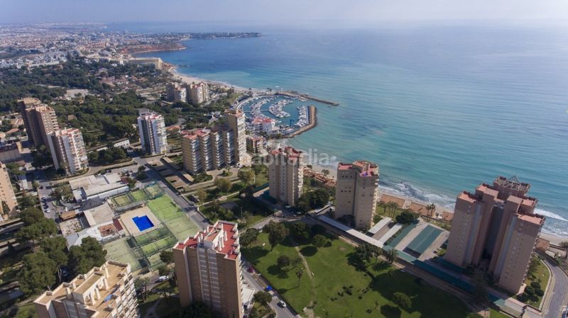 Foto 53a264ba-d8d3-4a06-b3d5-cd3feaea6ca9. Àtic amb aparcament piscina a Campoamor Orihuela