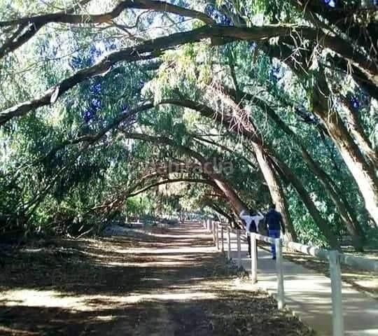 Foto 5ad33d6d-1d3e-463c-b2e0-640ce8468a24. Casa amb aparcament piscina a Aguas Nuevas Torrevieja