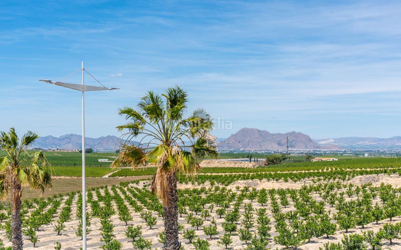 Foto 60d49d94-fe9c-4cdf-862d-48b42b753d8a. Xalet amb aparcament piscina a Algorfa