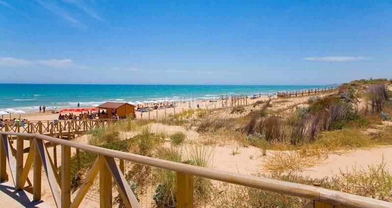 Foto 6b04f0d7-4b3b-4fc9-b4dd-18ec746b0e57. Xalet amb aparcament piscina a Benijófar