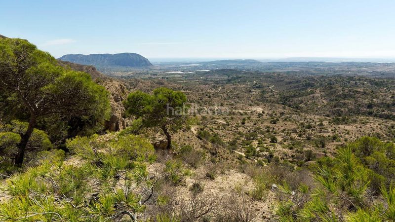 Foto a4751e88-9a37-464b-9f22-4101a6d96547. Xalet amb aparcament piscina a Pedanías Oeste Aspe