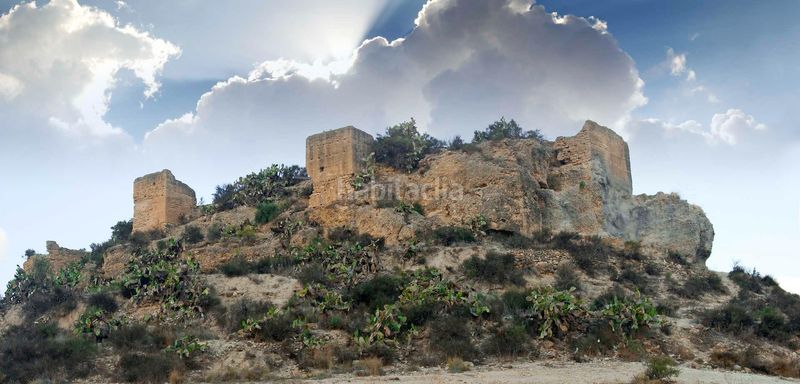 Foto bdc81be6-ca37-49d7-9c97-94df8cc582eb. Xalet amb aparcament piscina a Pedanías Oeste Aspe