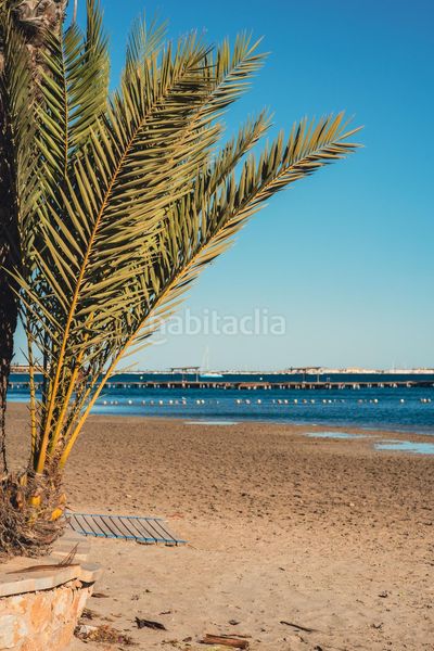 Foto e47def5a-da83-458d-92cf-6495b4324270. Ático  de nueva construcción con 1 dormitorio a escasos metros de la playa en venta en San Pedro del Pinatar