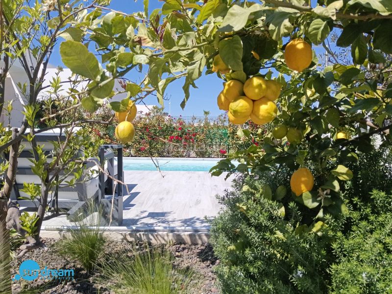 Foto 85f86e2a-fecb-459f-9764-5f2f7e84f812. Xalet amb calefacció aparcament piscina a Algorfa