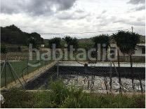 Foto 9a4f9a13-ce07-41df-b474-e8f3a9d3729e. Finca rústica a Desamparados - Hurchillo - Torremendo Orihuela