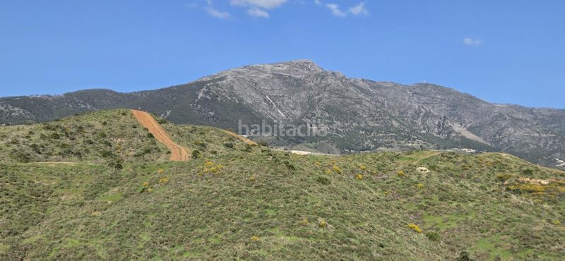 Foto 462b2365-5f06-423a-8826-bb165da57ec2. Finca rústica a Valtocado - La Alquería - La Atalaya Mijas