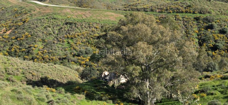 Foto 471172c3-d56f-4133-b46c-b5d575198ed9. Finca rústica a Valtocado - La Alquería - La Atalaya Mijas