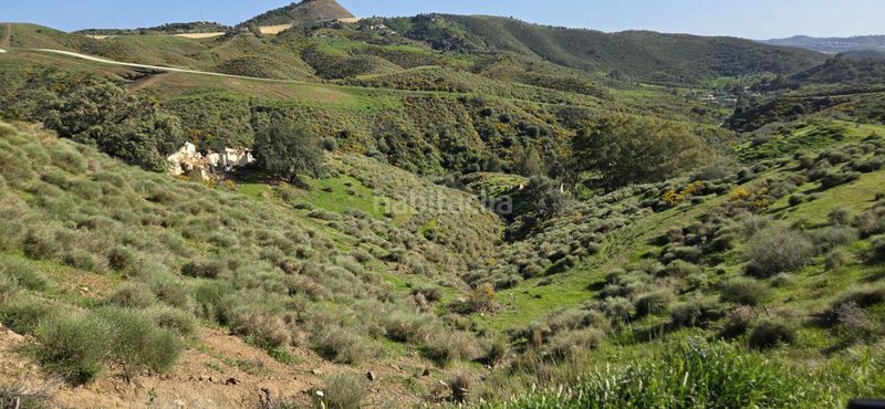 Foto b79c6dac-8417-49d3-ab95-793c9de56242. Finca rústica a Valtocado - La Alquería - La Atalaya Mijas