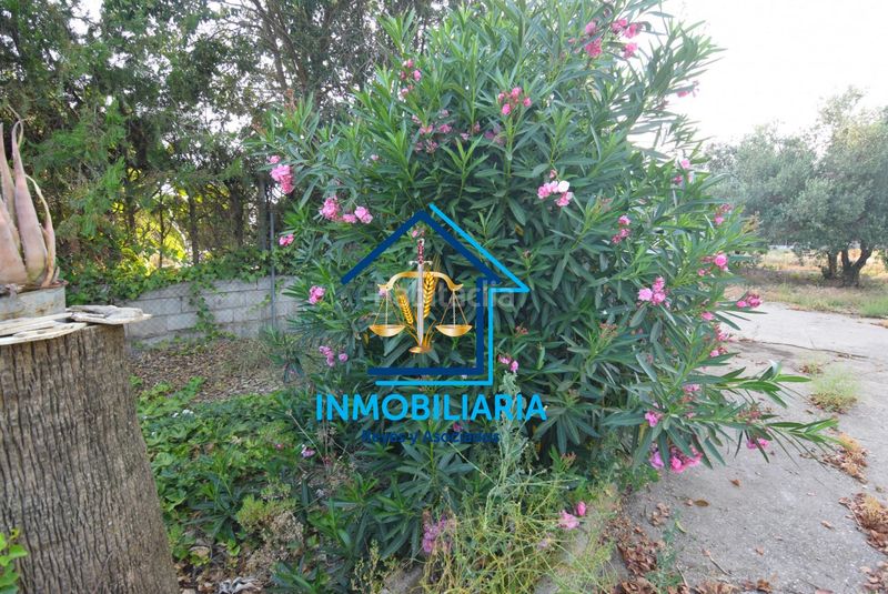 Foto 124646f6-e57b-4502-8e64-0d6c9db3bbd7. Pis amb aparcament a El Higuerón Córdoba