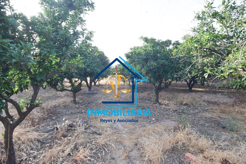 Foto 4db22b0b-db6f-42d2-ac12-6167bfb4b5bb. Pis amb aparcament a El Higuerón Córdoba