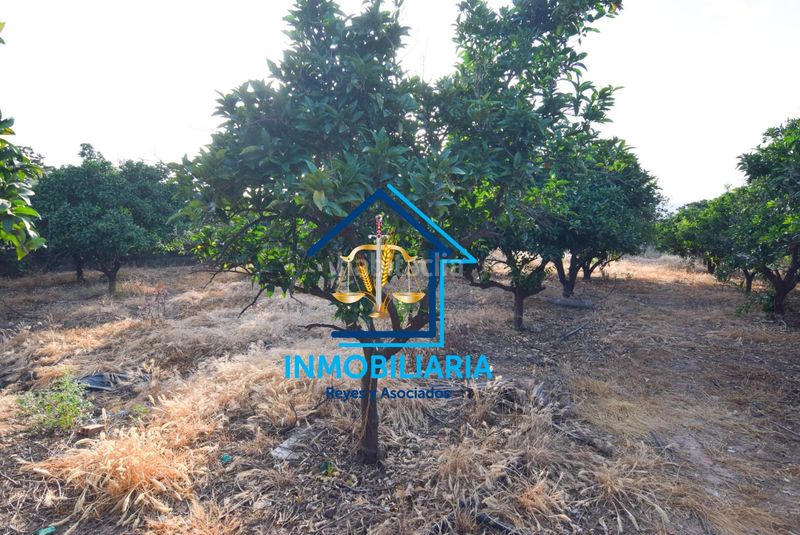 Foto 667f85cb-e18d-4160-af29-e38717d88e8e. Pis amb aparcament a El Higuerón Córdoba